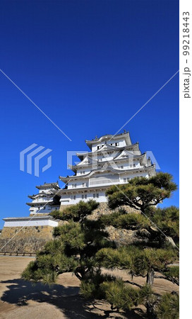 姫路城(兵庫県姫路市) 姫路城(兵庫県姫路市) 99218443