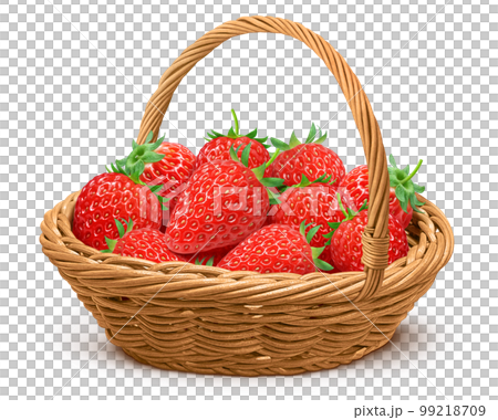 いちご 苺 イラスト リアル いちご狩り 99218709