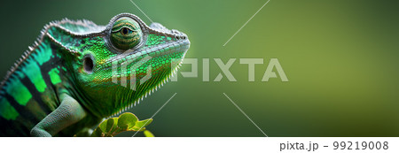 Close-up portrait of a chameleon with bright exotic skin in green colors. Banner format. Generative AI illustration 99219008