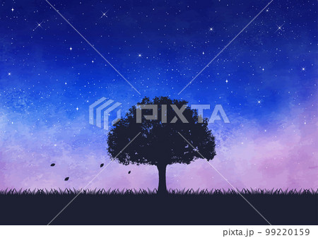 水彩の夜空と星と草原の木シンボルツリー風景 99220159