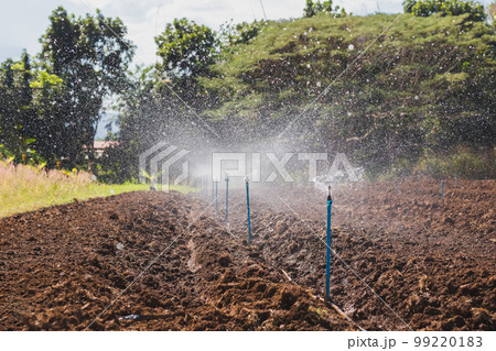 Rows of soil before planting with water springer system. Rows of soil before planting with water springer system. 99220183