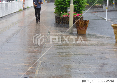 雨降りの歩道 雨降りの歩道 99220598