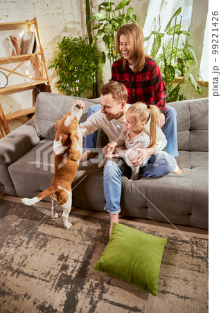 Feeding dog. Beautiful young family, couple, parents playing with dog, beagle in living room. Having fun at home Feeding dog. Beautiful young family, couple, parents playing with dog, beagle in living room. Having fun at home 99221426