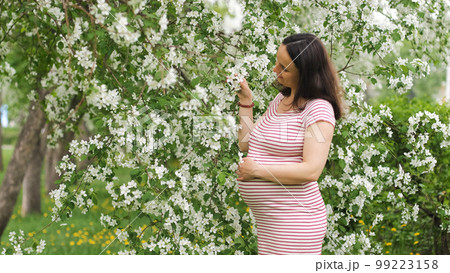 Pregnant woman touching her belly while enjoying of blooming apple trees scent in warm spring day 99223158