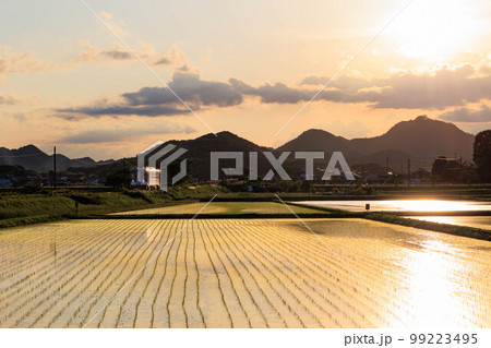 田園とローカル線の風景(夕暮れ) 田園とローカル線の風景(夕暮れ) 99223495