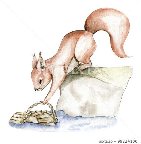 Hand drawn watercolor squirrel. Watercolor hand draw fairy tale illustration. Illustartion with white isolated background. Perfect for greeting card, poster. 99224100