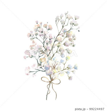 A gypsophila branch hand drawn in watercolor isolated on a white background. Vintage little white flowers bouquet with bow for Valentine's Day, wedding and other events. 99224497