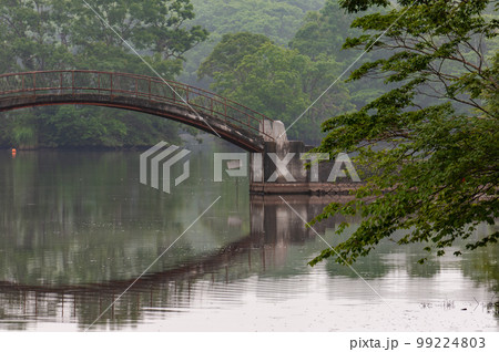 早朝の大沼公園（湖月橋）_5418 99224803
