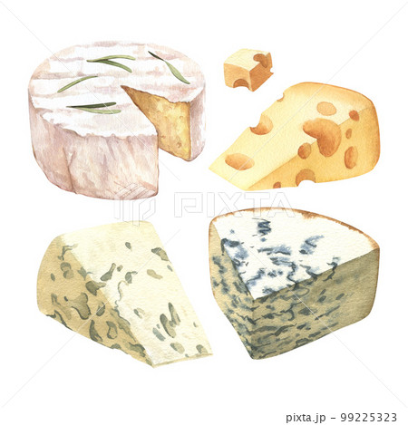 Watercolor different soft kinds cheeses, milk dairy product. Delicious food hand-drawn illustration isolated on white background. Perfect for menu, recipe, label, packaging design 99225323