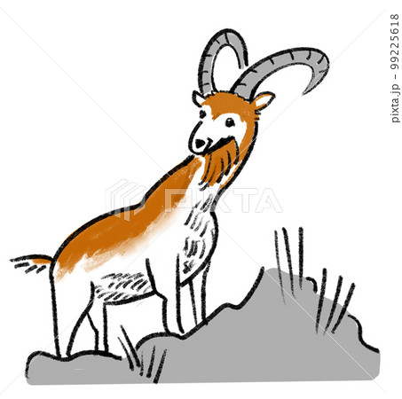 アイベックスの手書きイラスト 99225618