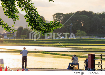 初夏の田園風景(夕暮れ) 初夏の田園風景(夕暮れ) 99226639