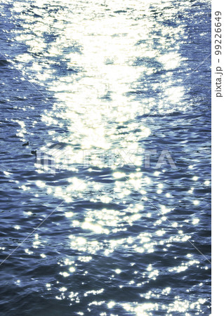 太陽の光がキラキラと川の水面で反射して、光の中に水鳥が漂って遊んでいるように 太陽の光がキラキラと川の水面で反射して、光の中に水鳥が漂って遊んでいるように 99226649