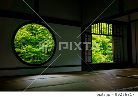 京都 夏の美しい緑に彩られた源光庵の和室 99226817