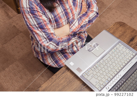 【在宅ワークで仕事をこなす女性】 99227102