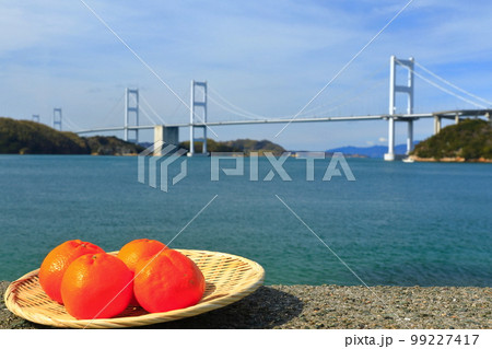【愛媛県】ミカンと来島海峡大橋(しまなみ海道) 【愛媛県】ミカンと来島海峡大橋(しまなみ海道) 99227417
