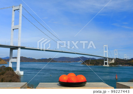 【愛媛県】ミカンと来島海峡大橋（しまなみ海道） 99227443