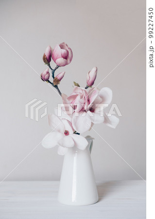 Magnolia in vase. Magnolia in vase. 99227450