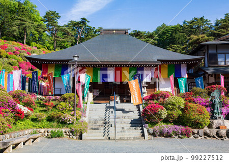 東京青梅の春　ツツジの名所　塩船観音寺　護摩堂 99227512