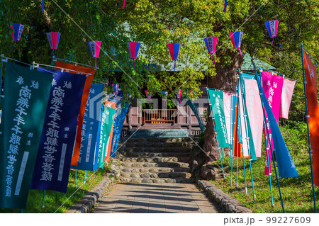 東京青梅の春 ツツジの名所 塩船観音寺 阿弥陀堂 東京青梅の春 ツツジの名所 塩船観音寺 阿弥陀堂 99227609
