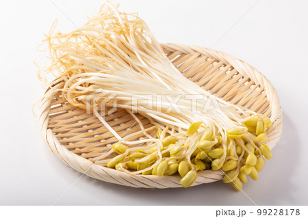 山形県産 豆もやし 山形県産 豆もやし 99228178