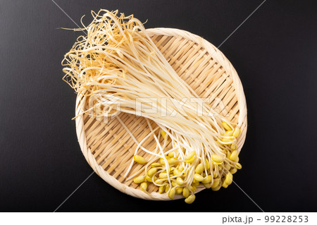 山形県産 豆もやし 山形県産 豆もやし 99228253