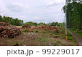 伐採された山 99229017