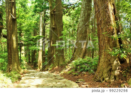 和歌山県　熊野古道　大門坂 99229298