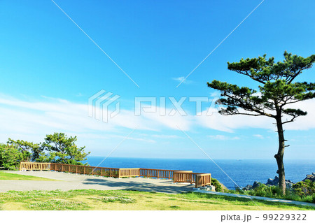 和歌山県　青空の潮岬 99229322