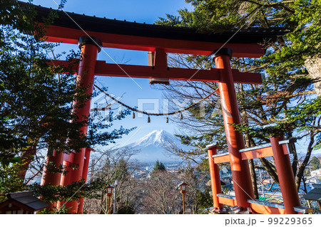 山梨県」浅間神社の鳥居越しに望む富士山　新倉山浅間公園 99229365