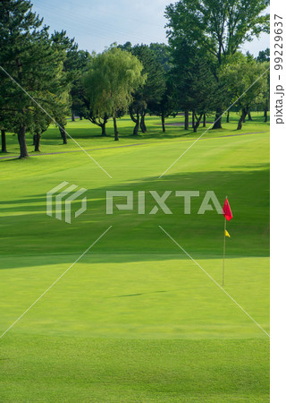 夏のゴルフ場　人物無し　　 99229637