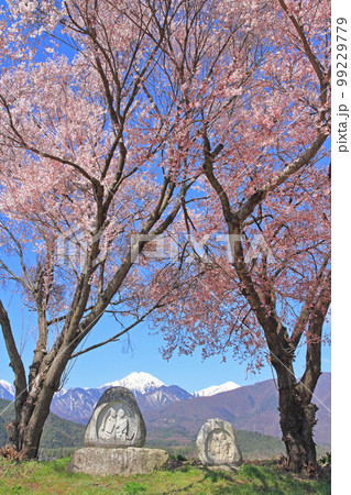 安曇野の春　道祖神と常念岳 99229779