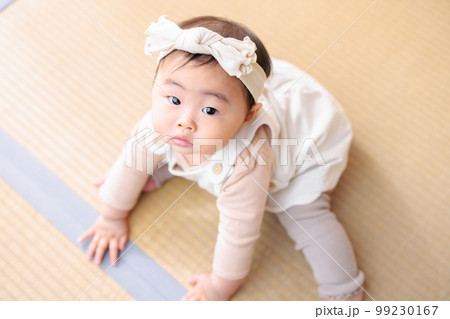 畳をさわる赤ちゃん 畳をさわる赤ちゃん 99230167