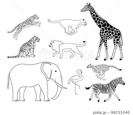 Vector set of flat outline african wild animals 99233340