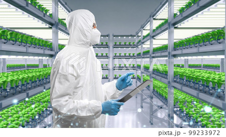 Worker wears medical protective suit or white coverall suit in smart indoor farm system raised plants on shelves growth 99233972