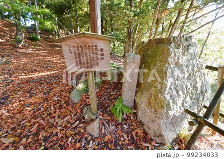 小谷城　首据石 99234033