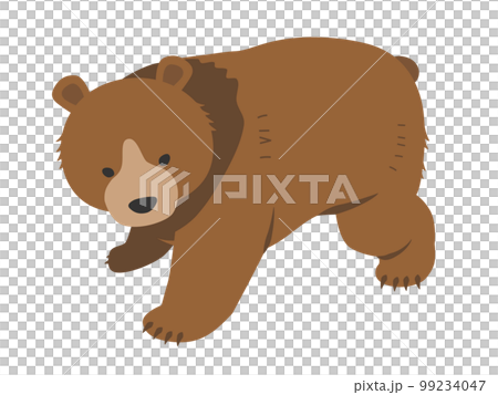 一隻熊 99234047