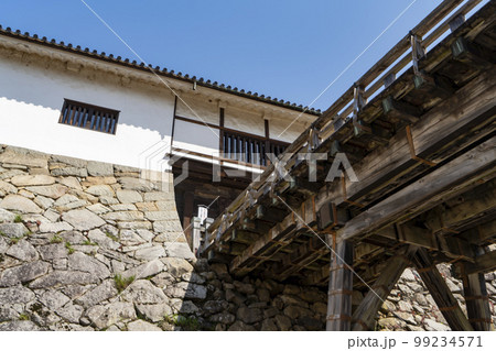 彦根城の桜 99234571