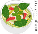 タイ料理「グリーンカレー」のイラスト(斜め) 99234615