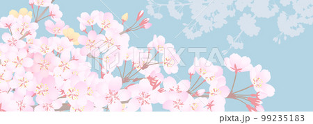 くすんだブルー背景のレトロな雰囲気の桜のイラスト くすんだブルー背景のレトロな雰囲気の桜のイラスト 99235183