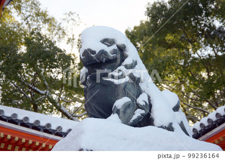 雪の祇園八坂神社　西楼門の狛犬　京都市東山区 99236164