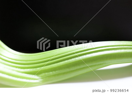 セロリの茎 99236654