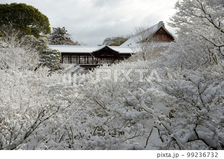 冬の東福寺 通天橋の積雪 京都市東山区 冬の東福寺 通天橋の積雪 京都市東山区 99236732