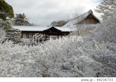 冬の東福寺 通天橋の積雪 京都市東山区 冬の東福寺 通天橋の積雪 京都市東山区 99236733