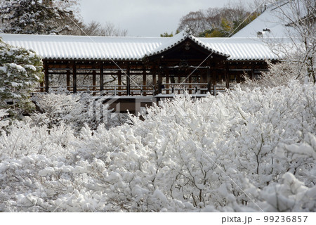 冬の東福寺　通天橋の積雪　京都市東山区 99236857