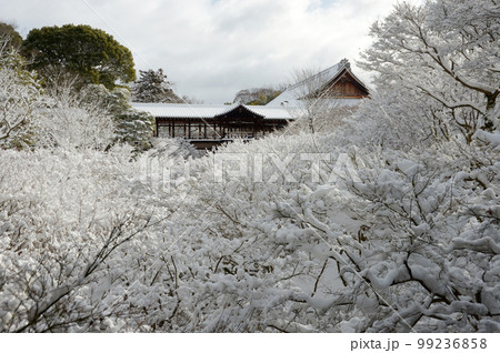 冬の東福寺 通天橋の積雪 京都市東山区 冬の東福寺 通天橋の積雪 京都市東山区 99236858