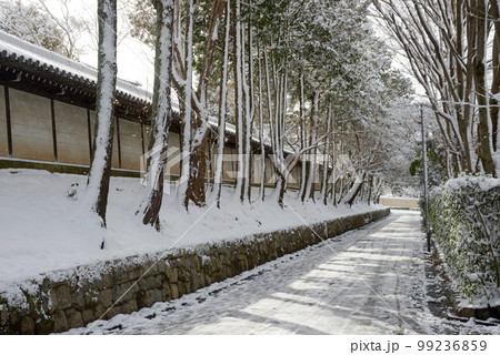 冬の東福寺 参道の積雪 京都市東山区 冬の東福寺 参道の積雪 京都市東山区 99236859