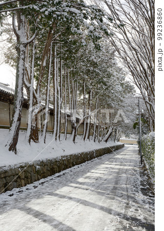 冬の東福寺 参道の積雪 京都市東山区 冬の東福寺 参道の積雪 京都市東山区 99236860