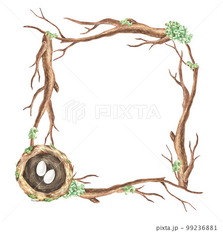 Square wreath of brown branches and a nest with two eggs. Watercolor illustration. Isolated on a white background.Place for text or inscription.For rustic print design, easter cards, vintage stickers Square wreath of brown branches and a nest with two eggs. Watercolor illustration. Isolated on a white background.Place for text or inscription.For rustic print design, easter cards, vintage stickers 99236881