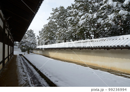 冬の東福寺　東司裏の土塀　京都市東山区 99236994