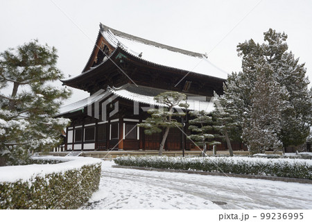 冬の東福寺 仏殿 京都市東山区 冬の東福寺 仏殿 京都市東山区 99236995
